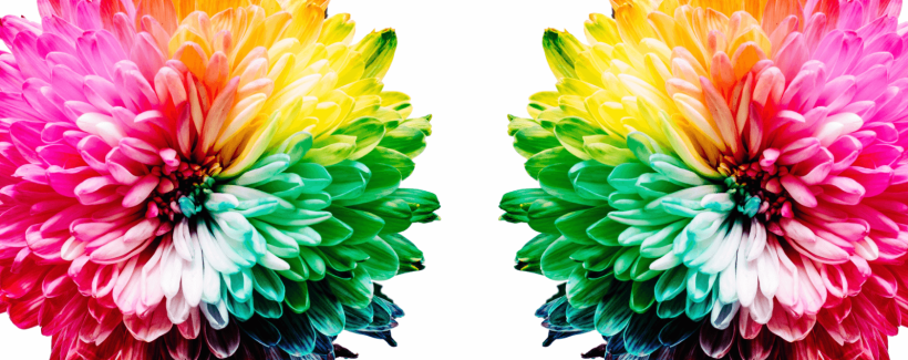 Captura-de-ecrã-2021-02-11-às-21.40.35